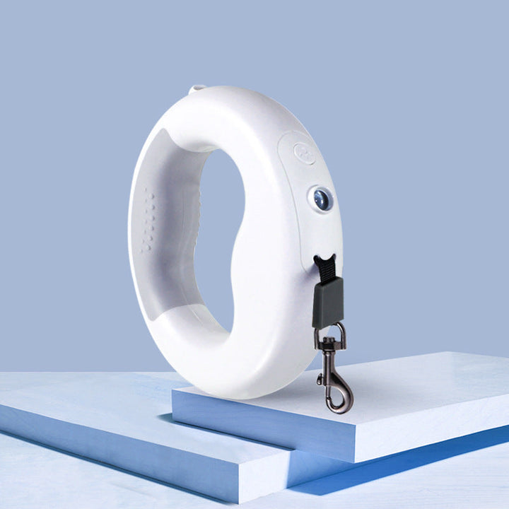 Introducing the Retractable Pet Leash With Cute Design