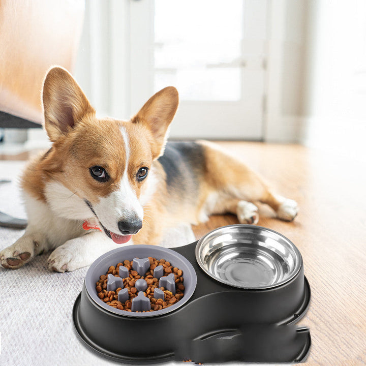 Discover the Benefits of the Pet Slow Feeding Bowl Removable