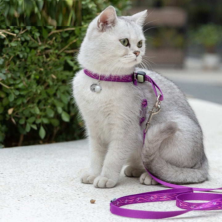 Why the Bell Pet Chest Strap Leash Set is a Must-Have for Your Furry Friends