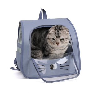 The Ultimate Outdoor Companion for Your Furry Friend