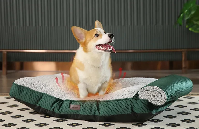 CREATING BETTER REST FOR PETS