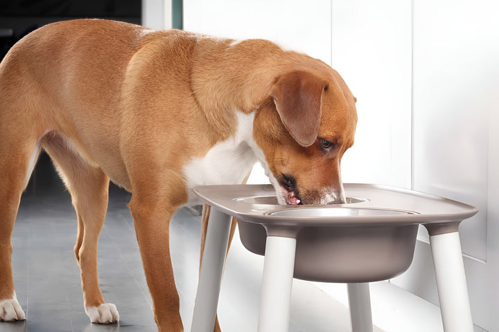 MAKING MEALTIMES MORE CONVENIENT